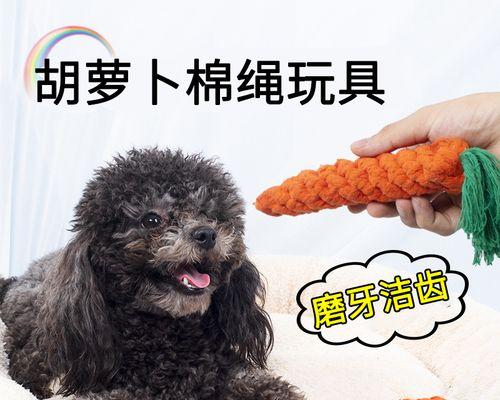 如何避免宠物狗因吃红萝卜而中毒（红萝卜中毒的危害）