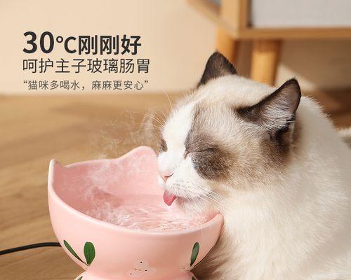 小猫的饮水习惯（了解小猫的饮水需求）